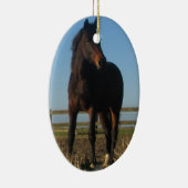 Bay Horse Ornament (Rechts)