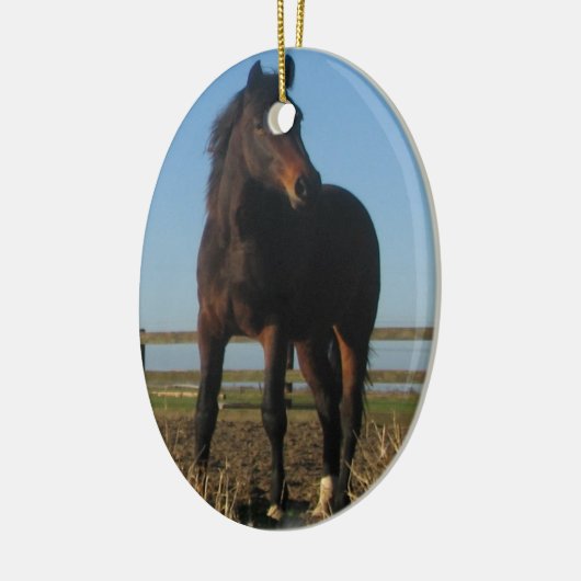 Bay Horse Ornament (Links)