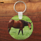 Bay Horse Sleutelhanger (Voorkant)