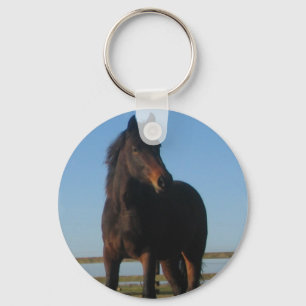 Bay Horse Sleutelhanger