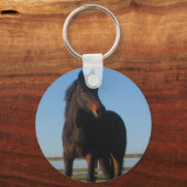 Bay Horse Sleutelhanger (Voorkant)