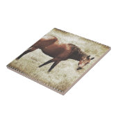 Bay Horse Tegeltje (Zijkant)