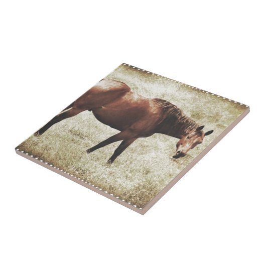 Bay Horse Tegeltje (Zijkant)