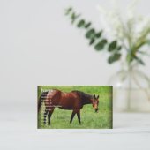 Bay Horse Visitekaartje (Staand voorkant)