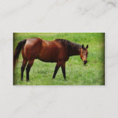 Bay Horse Visitekaartje (Achterkant)