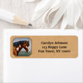 Bay Indian Pony Pinto Horse Tan Etiket (Insitu)