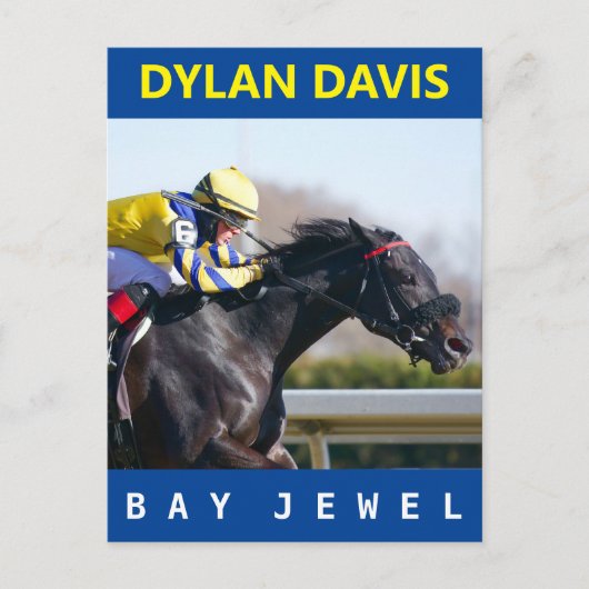 Bay Jewel Briefkaart (Voorkant)