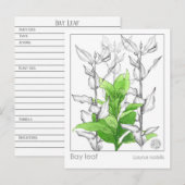 Bay Leaf Materia Medica Monografie Kruidenonderzoe Briefkaart (Voorkant / Achterkant)