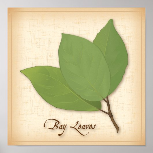 Bay Leaves Poster (Voorkant)