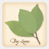 Bay Leaves Square Sticker (Voorkant)