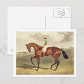 Bay Middleton, winnaar van de Derby in 1836, na Briefkaart (Voorkant / Achterkant)