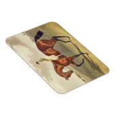 Bay Middleton, winnaar van de Derby in 1836, na Magneet (Rechterzijde)