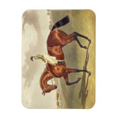Bay Middleton, winnaar van de Derby in 1836, na Magneet (Verticaal)