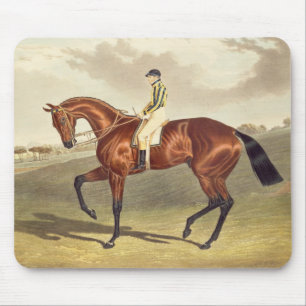 Bay Middleton, winnaar van de Derby in 1836, na Muismat