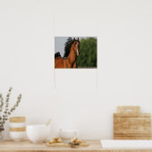 Bay Morgan Horse Headshot Flows Mane Poster (Keuken)
