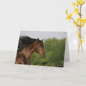 Bay Morgan Horse Headshot Mane Flows Kaart (Gele Bloem)