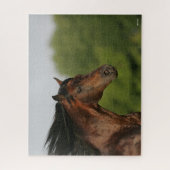 Bay Morgan Horse Headshot Mane Flows Legpuzzel (Verticaal)