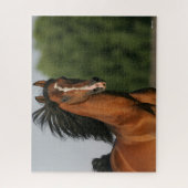 Bay Morgan Horse Headshot Mane Flows Legpuzzel (Verticaal)