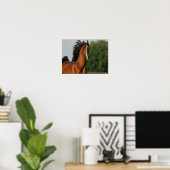 Bay Morgan Horse Headshot Mane Flows Poster (Thuiskantoor)