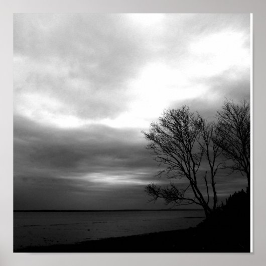 Bay of Fundy Poster (Voorkant)