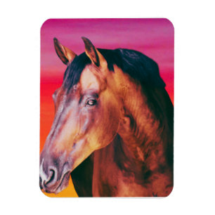 Bay Paard Gradiënt Magneet