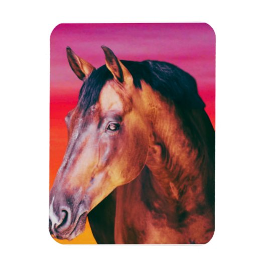 Bay Paard Gradiënt    Magneet (Verticaal)