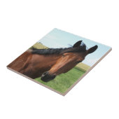 Bay Pasture Tegeltje (Zijkant)