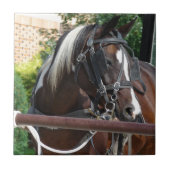 Bay Pinto Amish Buggy Horse Tegeltje (Voorkant)