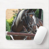 Bay Pinto Amish Buggy Paard Muismat (Met muis)