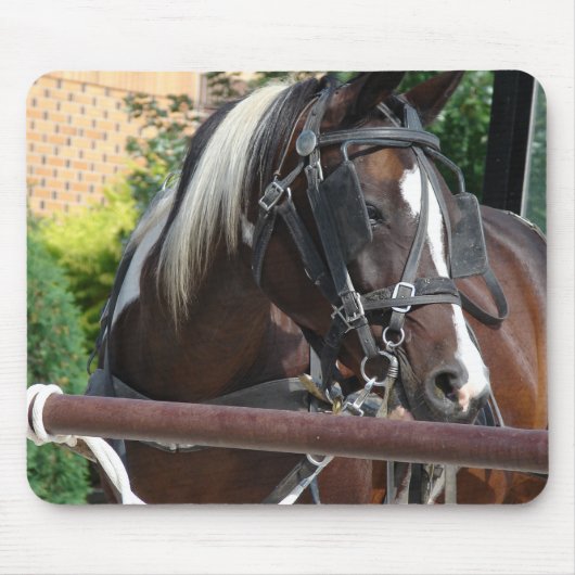 Bay Pinto Amish Buggy Paard Muismat (Voorkant)