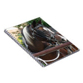 Bay Pinto Amish Buggy Paard Notitieboek (Rechterzijde)