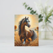 Bay Pinto Paard in een zonnebril Briefkaart (Staand voorkant)