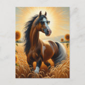 Bay Pinto Paard in een zonnebril Briefkaart (Voorkant)