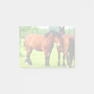 Bay Polish fokte trekpaarden in weelderige groene Post-it® Notes