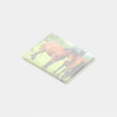 Bay Polish fokte trekpaarden in weelderige groene  Post-it® Notes (Schuin)
