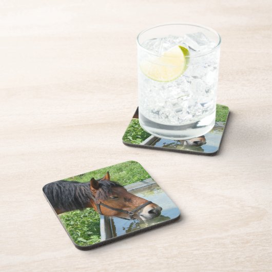 Bay-Pony Drink van de waterloop Bier Onderzetter (Rechterzijde)