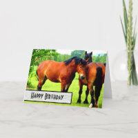 Bay Poolse gefokte trekpaarden Happy Birthday