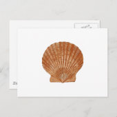 Bay Scallop Shell Briefkaart (Voorkant / Achterkant)