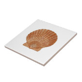 Bay Scallop Shell Tegeltje (Zijkant)