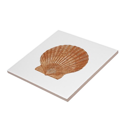 Bay Scallop Shell Tegeltje (Zijkant)