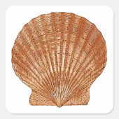 Bay Scallop Shell Vierkante Sticker (Voorkant)