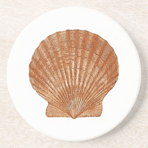 Bay Scallop Shell Zandsteen Onderzetter