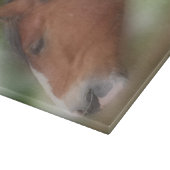 Bay Shire Draft Horse Face Animal Snijplank (Hoek)