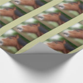 Bay Shire Draft Horse Face Cadeaupapier (Hoek)