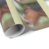 Bay Shire Draft Horse Face Cadeaupapier (Rol Hoek)