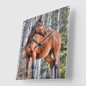 Bay Stallion Ranch Horse die in een bos staat Vierkante Klok (Hoek)