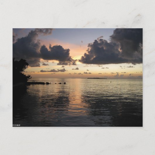 Bay Sunset Briefkaart (Voorkant)