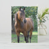 Bay Thoroughbred Horse Invitation Kaart (Staand voorkant)