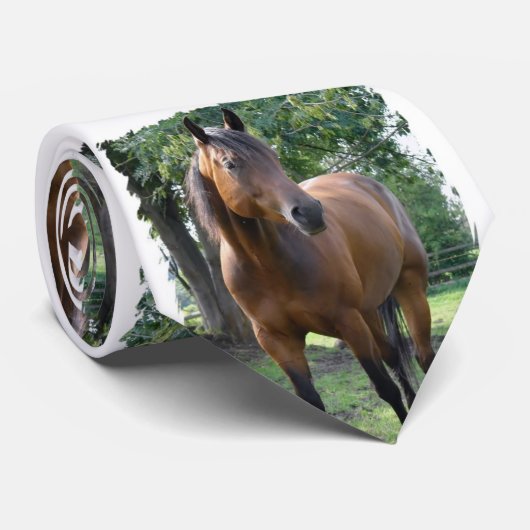 Bay Thoroughbred Horse Stropdas (Opgerold)