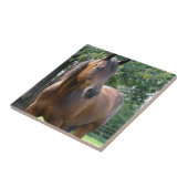 Bay Thoroughbred Horse Tile Tegeltje (Zijkant)